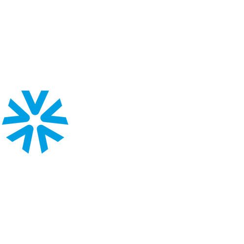 VSSCo_logo